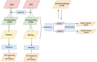 Re-Identification of Patient Subgroups in Uveal Melanoma